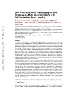 Shot Noise Reduction in Radiographic and Tomographic Multi-Channel
  Imaging with Self-Supervised Deep Learning