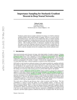 Importance Sampling for Stochastic Gradient Descent in Deep Neural
  Networks