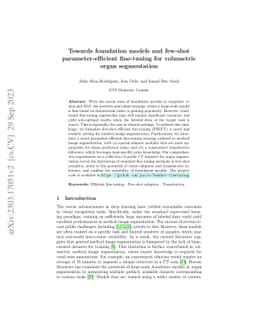 Towards Foundation Models and Few-Shot Parameter-Efficient Fine-Tuning for Volumetric Organ Segmentation
