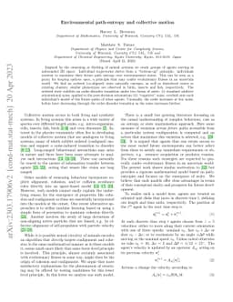 Environmental path-entropy and collective motion