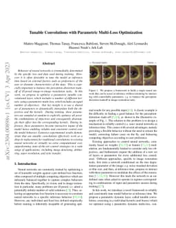 Tunable Convolutions with Parametric Multi-Loss Optimization