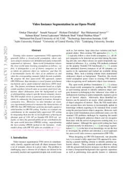 Video Instance Segmentation in an Open-World