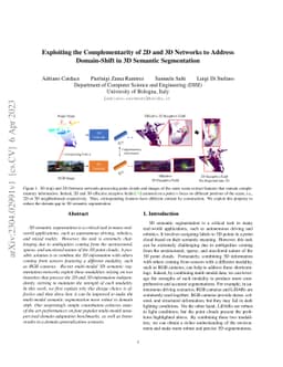 Exploiting the Complementarity of 2D and 3D Networks to Address
  Domain-Shift in 3D Semantic Segmentation