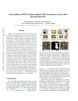From Saliency to DINO: Saliency-guided Vision Transformer for Few-shot
  Keypoint Detection