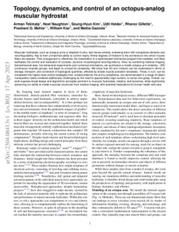 Topology, dynamics, and control of an octopus-analog muscular hydrostat