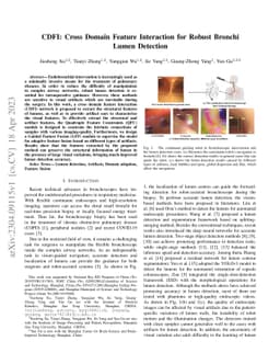 CDFI: Cross Domain Feature Interaction for Robust Bronchi Lumen
  Detection