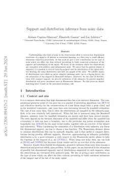 Support and distribution inference from noisy data