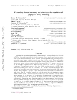 Exploring shared memory architectures for end-to-end gigapixel deep
  learning