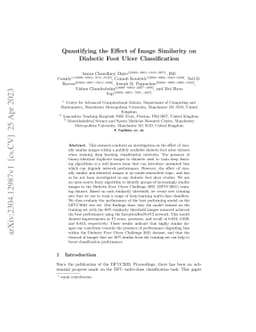 Quantifying the Effect of Image Similarity on Diabetic Foot Ulcer
  Classification