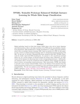 TPMIL: Trainable Prototype Enhanced Multiple Instance Learning for Whole
  Slide Image Classification