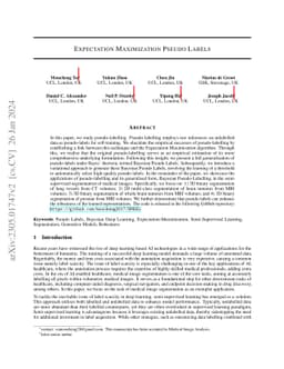 Expectation Maximization Pseudo Labels