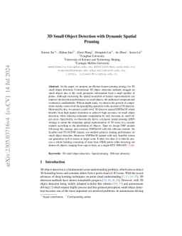 3D Small Object Detection with Dynamic Spatial Pruning