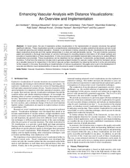 Enhancing Vascular Analysis with Distance Visualizations: An Overview
  and Implementation