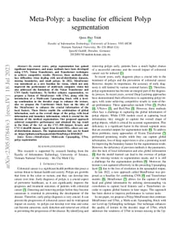 Meta-Polyp: a baseline for efficient Polyp segmentation