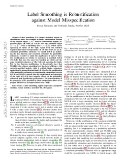 Label Smoothing is Robustification against Model Misspecification