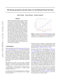 The Hessian perspective into the Nature of Convolutional Neural Networks