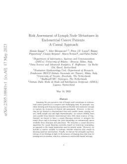Risk Assessment of Lymph Node Metastases in Endometrial Cancer Patients:
  A Causal Approach