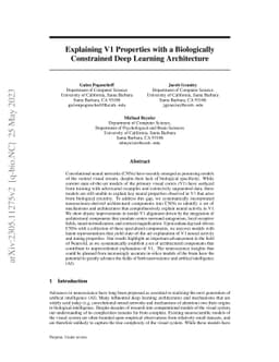 Explaining V1 Properties with a Biologically Constrained Deep Learning
  Architecture