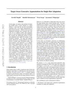 Target-Aware Generative Augmentations for Single-Shot Adaptation