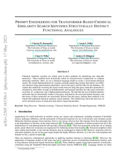 Prompt Engineering for Transformer-based Chemical Similarity Search
  Identifies Structurally Distinct Functional Analogues