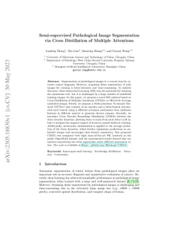 Semi-supervised Pathological Image Segmentation via Cross Distillation
  of Multiple Attentions