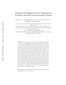 Elongated Physiological Structure Segmentation via Spatial and Scale
  Uncertainty-aware Network