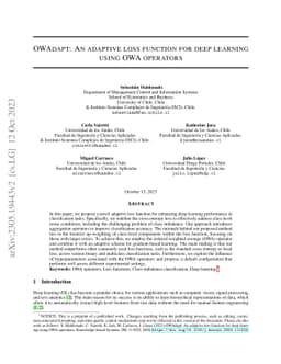 OWAdapt: An adaptive loss function for deep learning using OWA operators