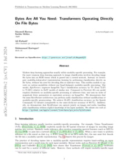 Bytes Are All You Need: Transformers Operating Directly On File Bytes