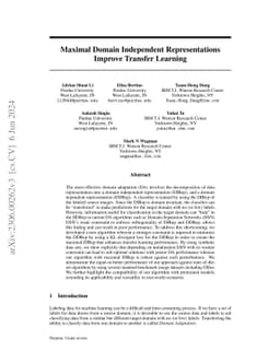 Maximal Domain Independent Representations Improve Transfer Learning