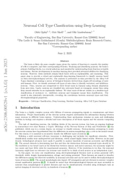 Neuronal Cell Type Classification using Deep Learning