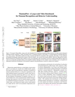 MammalNet: A Large-scale Video Benchmark for Mammal Recognition and
  Behavior Understanding