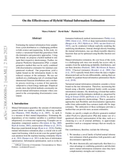 On the Effectiveness of Hybrid Mutual Information Estimation