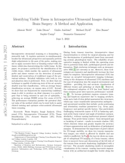 Identifying Visible Tissue in Intraoperative Ultrasound Images during
  Brain Surgery: A Method and Application
