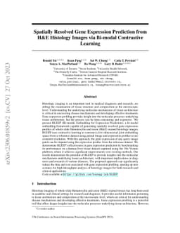 Spatially Resolved Gene Expression Prediction from H&E Histology Images
  via Bi-modal Contrastive Learning