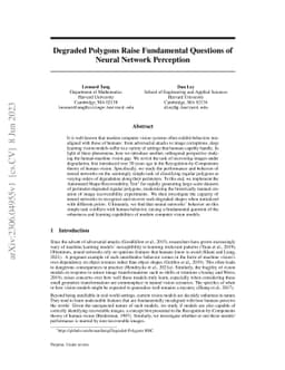 Degraded Polygons Raise Fundamental Questions of Neural Network
  Perception