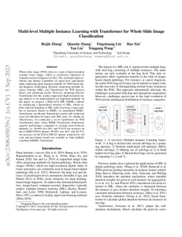 Multi-level Multiple Instance Learning with Transformer for Whole Slide
  Image Classification