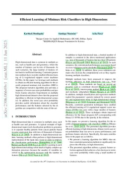 Efficient Learning of Minimax Risk Classifiers in High Dimensions
