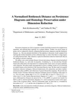 A Normalized Bottleneck Distance on Persistence Diagrams and Homology
  Preservation under Dimension Reduction