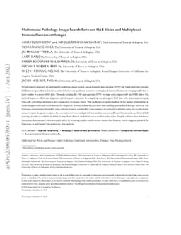 Multimodal Pathology Image Search Between H&E Slides and Multiplexed
  Immunofluorescent Images