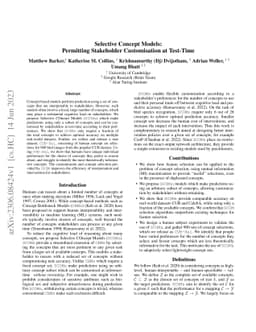 Selective Concept Models: Permitting Stakeholder Customisation at
  Test-Time