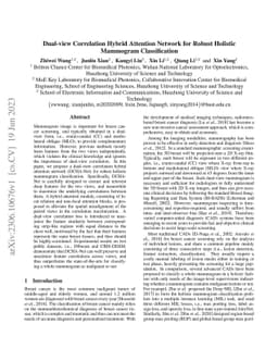 Dual-view Correlation Hybrid Attention Network for Robust Holistic
  Mammogram Classification
