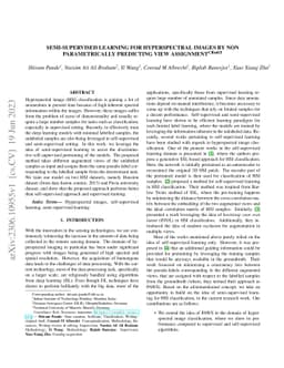 Semi-Supervised Learning for hyperspectral images by non parametrically
  predicting view assignment