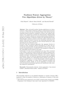 Nonlinear Feature Aggregation: Two Algorithms driven by Theory