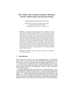 Reversible Adversarial Examples with Beam Search Attack and Grayscale
  Invariance