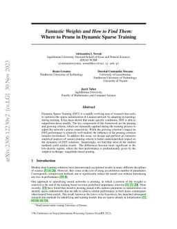 Fantastic Weights and How to Find Them: Where to Prune in Dynamic Sparse
  Training