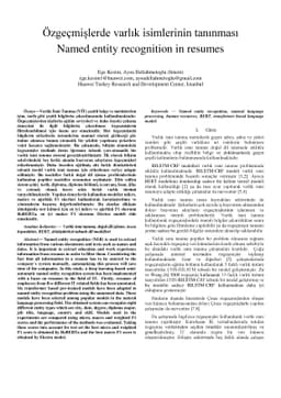 Named entity recognition in resumes