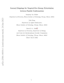 Learned Mappings for Targeted Free Energy Perturbation between Peptide
  Conformations