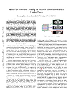 Multi-View Attention Learning for Residual Disease Prediction of Ovarian
  Cancer