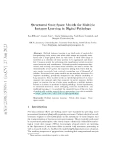 Structured State Space Models for Multiple Instance Learning in Digital
  Pathology