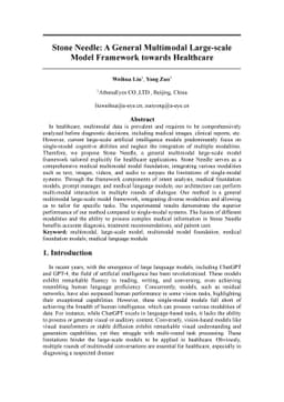 Stone Needle: A General Multimodal Large-scale Model Framework towards
  Healthcare